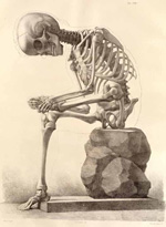 Skeleton sitting down